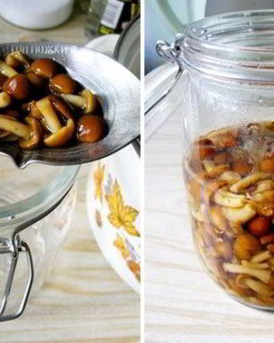 Маринованные опята без закатки