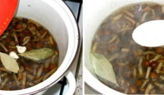 маринованные опята без закатки