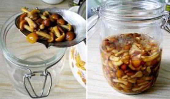 маринованные опята без закатки