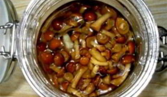 маринованные опята без закатки