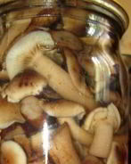 Маринованные опята с уксусом