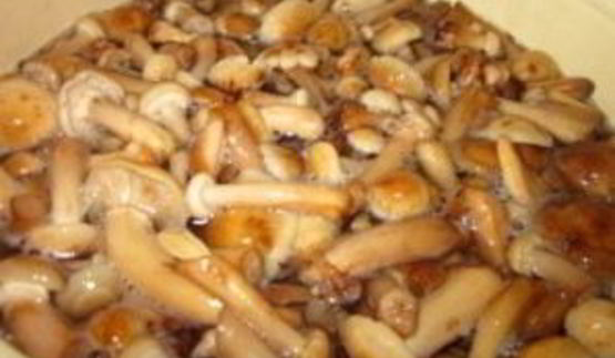 маринованные опята с уксусом