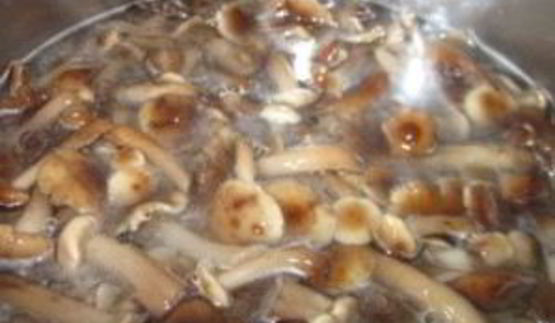 маринованные опята с уксусом