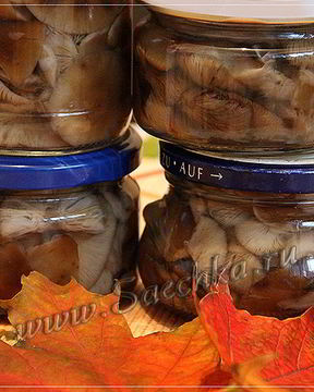 Маринованные опята