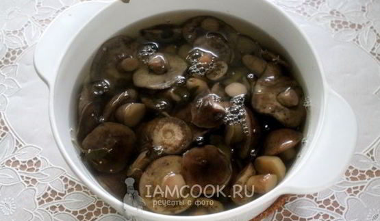 маринованные подберезовики