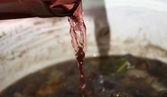 маринованные подосиновики и белые грибы