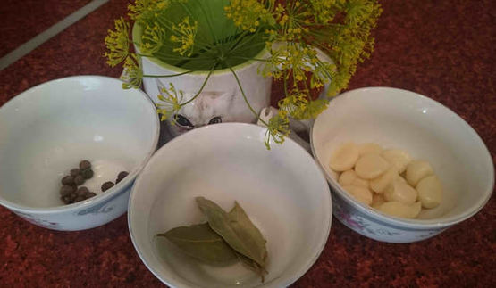 маринованные подосиновики