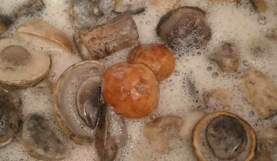 маринованные подосиновики