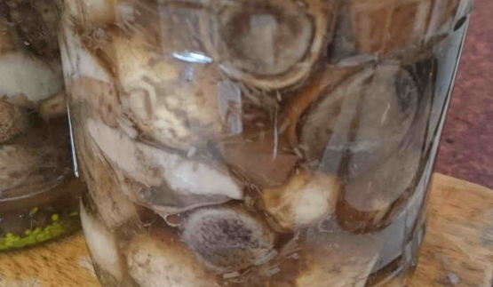 маринованные подосиновики