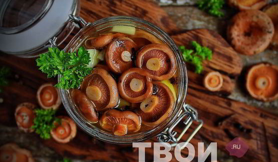 маринованные рыжики