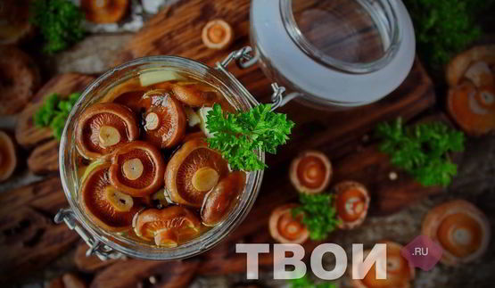 маринованные рыжики