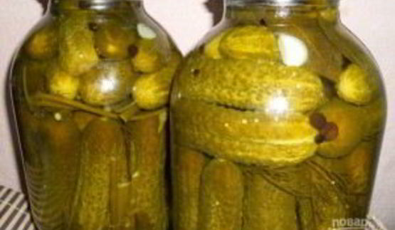 маринованные соленые огурцы