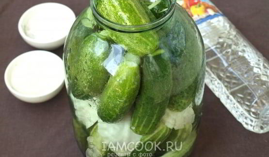 огурцы, маринованные с капустой