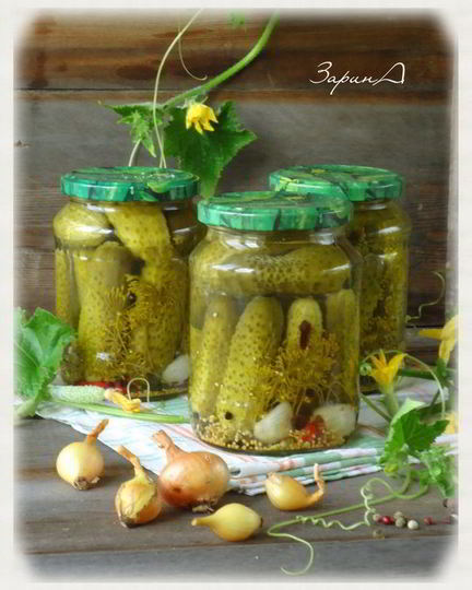 Рецепт огурцов острых маринованных