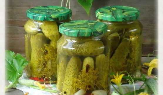 огурцы острые маринованные