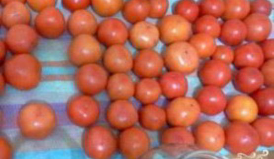 помидоры маринованные сладкие