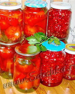 Помидоры, маринованные со свеклой