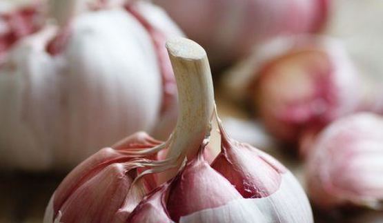 слива маринованная с чесноком