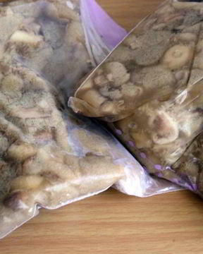 Маслята, замороженные на зиму