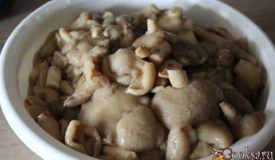 маслята, замороженные на зиму