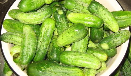 огурчики чили на зиму