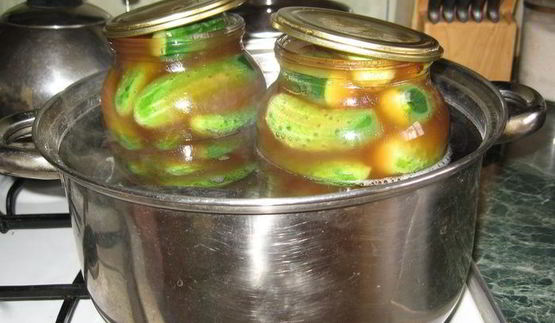 огурчики чили на зиму