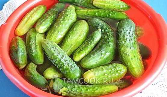 огурцы на зиму в литровых банках