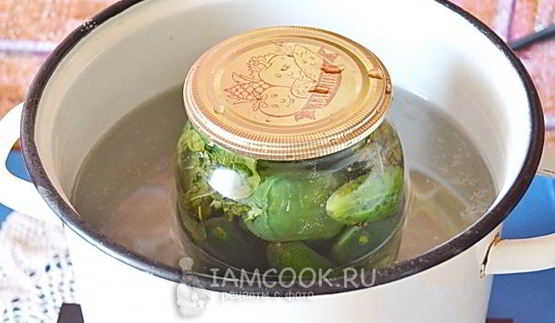 огурцы на зиму в литровых банках