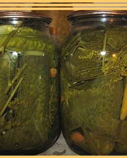 Рецепт огурцов по-польски на зиму