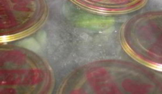 огурцы по-польски на зиму