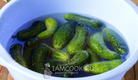 огурцы с лимонной кислотой на зиму