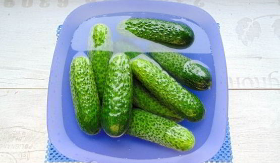 огурцы в собственном соку на зиму