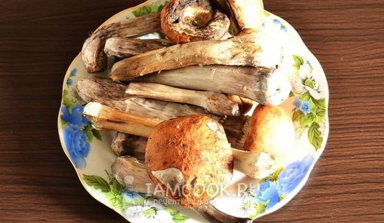 подосиновики, замороженные на зиму