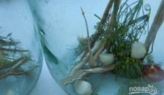 помидоры на зиму с лимонной кислотой