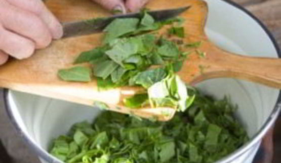 щавель на зиму