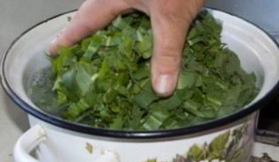 щавель на зиму