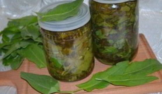 щавель на зиму