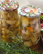 Шампиньоны на зиму