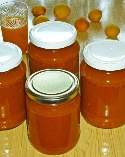 Рецепт сока из абрикос на зиму