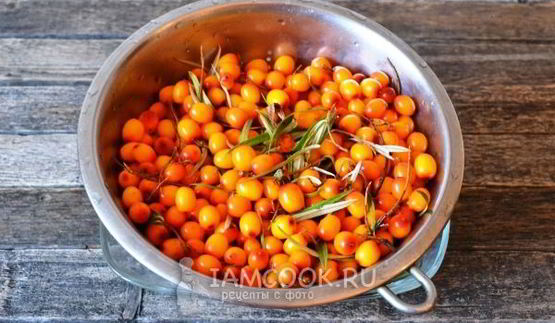 сок из облепихи на зиму через соковыжималку