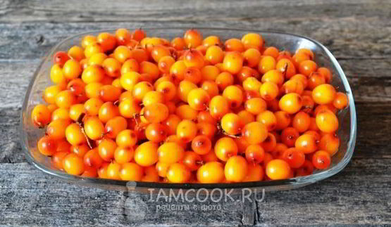 сок из облепихи на зиму через соковыжималку