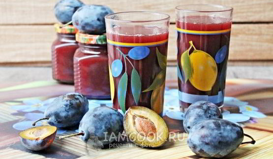 сок из сливы на зиму через соковыжималку