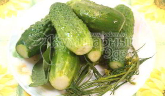 малосольные огурчики