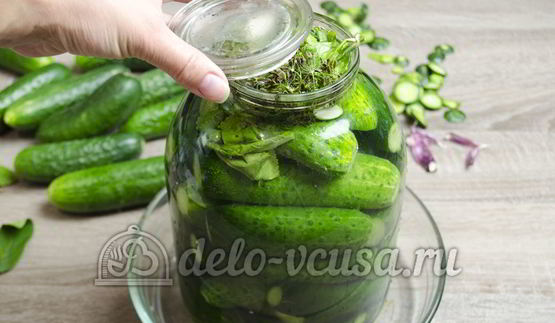 малосольные огурцы