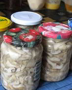 Соленые грузди в банках на зиму