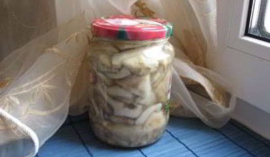 соленые грузди в банках на зиму