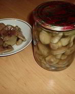 Соленые маслята на зиму