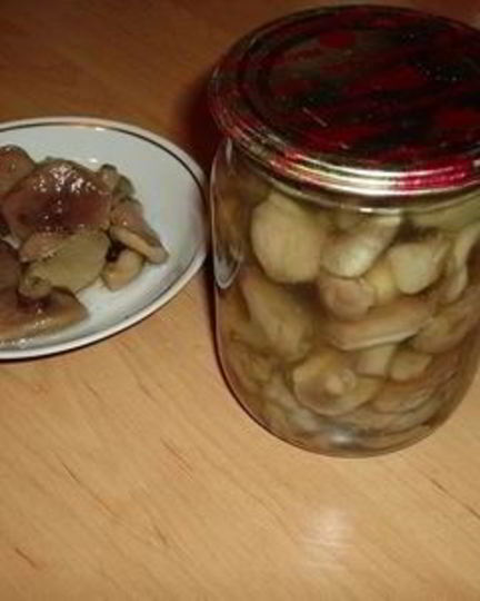 Рецепт соленых маслят на зиму