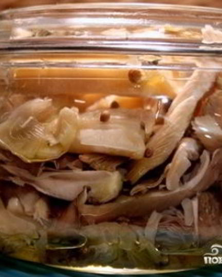 Рецепт соленых вешенок на зиму