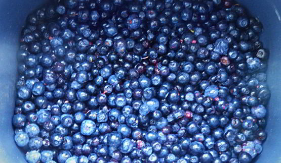 черничное варенье